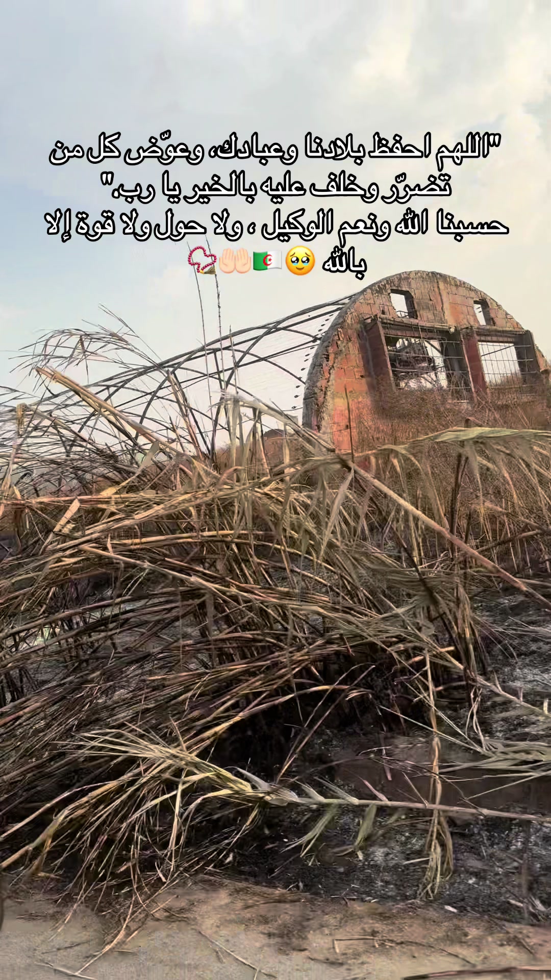 @الكنز❤️اليٌسر🪽✨