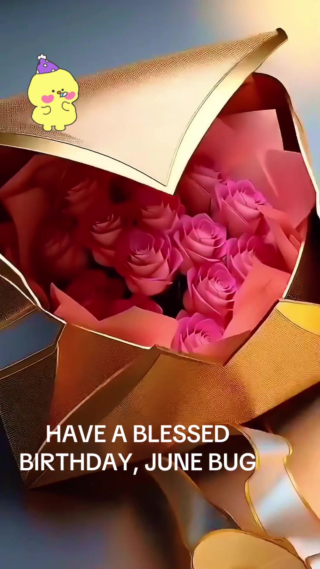 @nora martinez