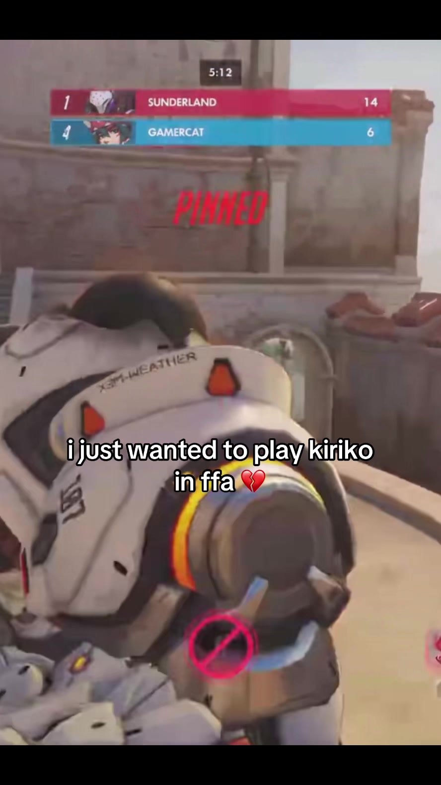 @GamerCat