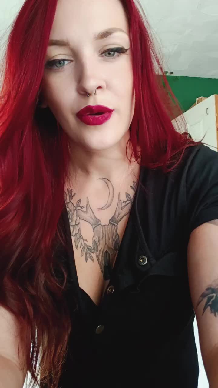 @inked explorer