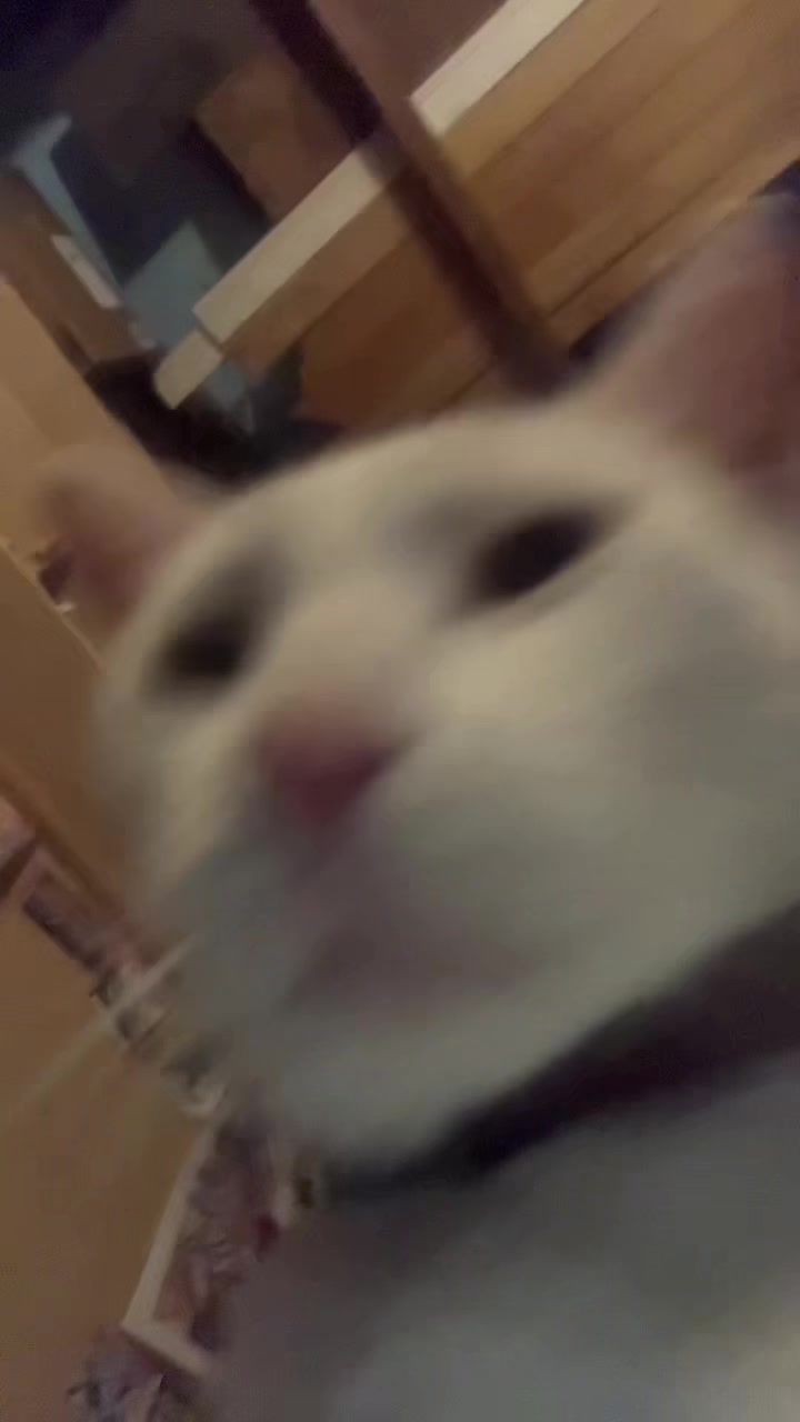 @Dread pirate Roberts