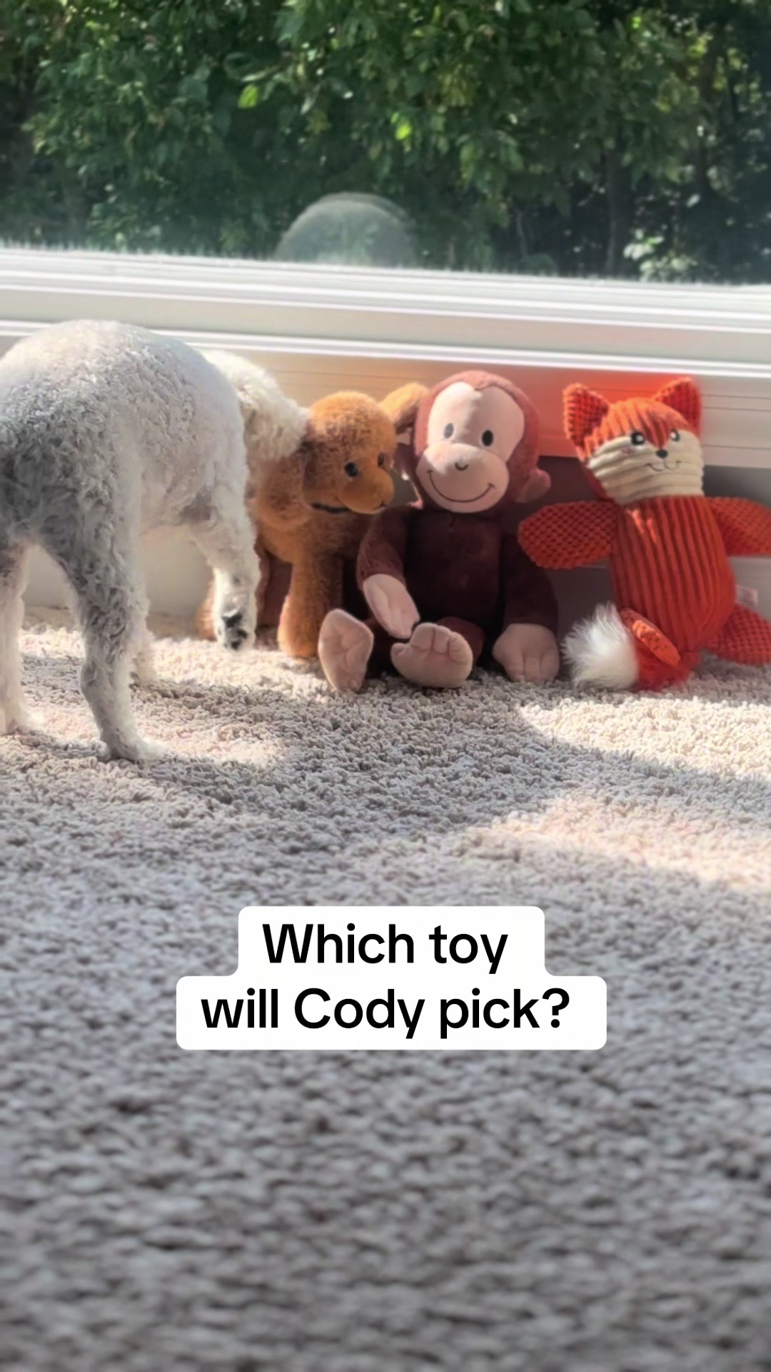 @Coast2CoastWCody