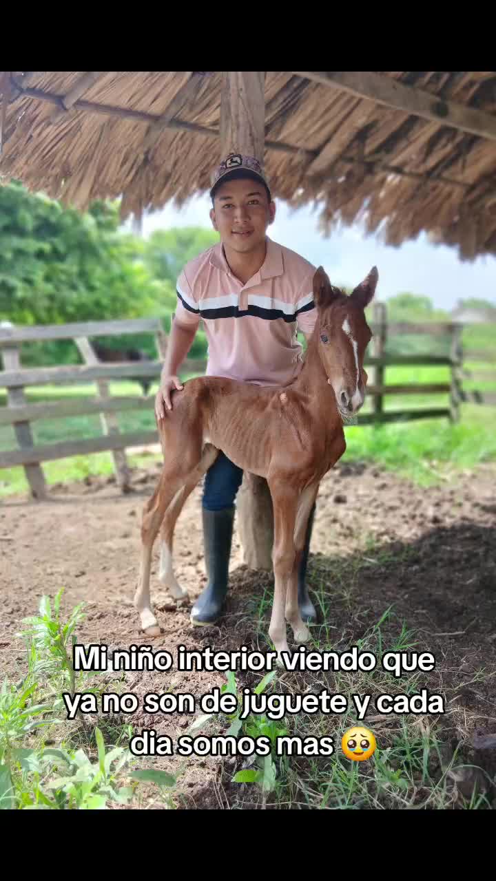 @jjulianbello