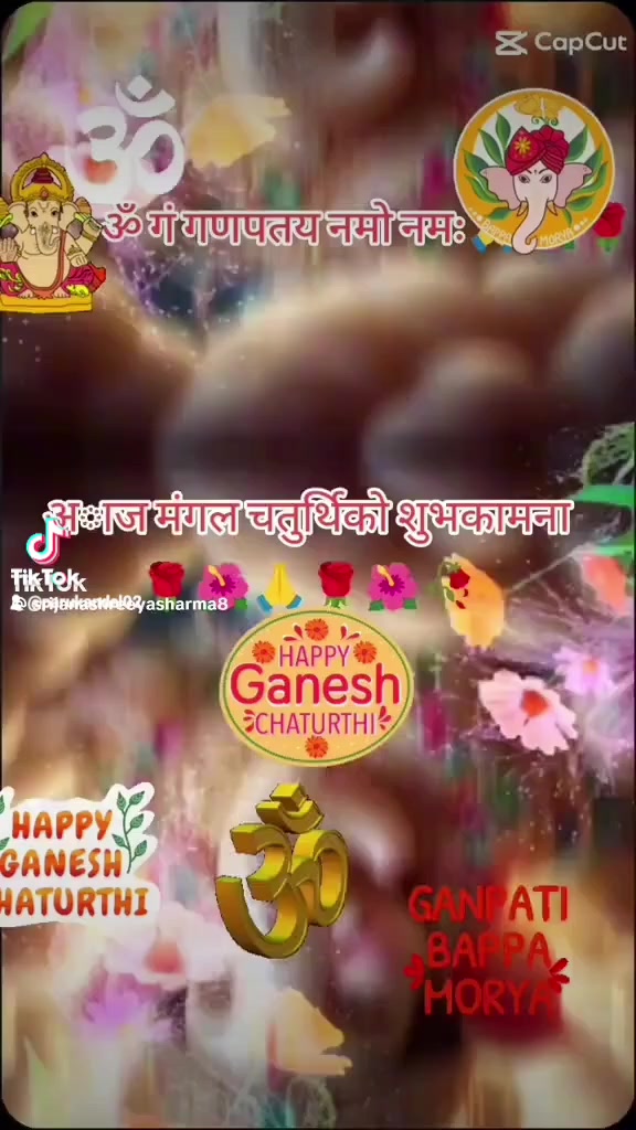 @Paru Kandel