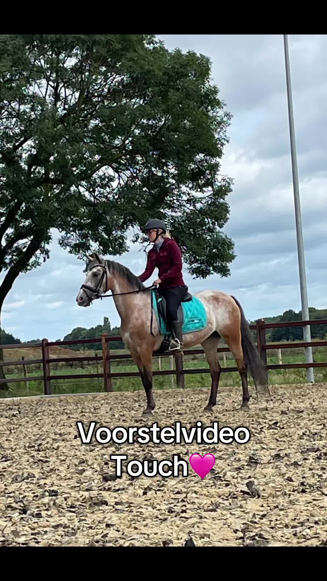 @Syrche Cordewener