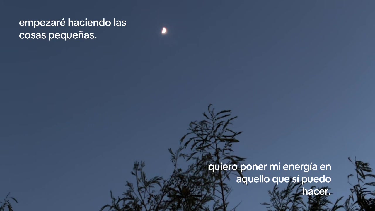 @cindy ࣪ ִֶָ☾.