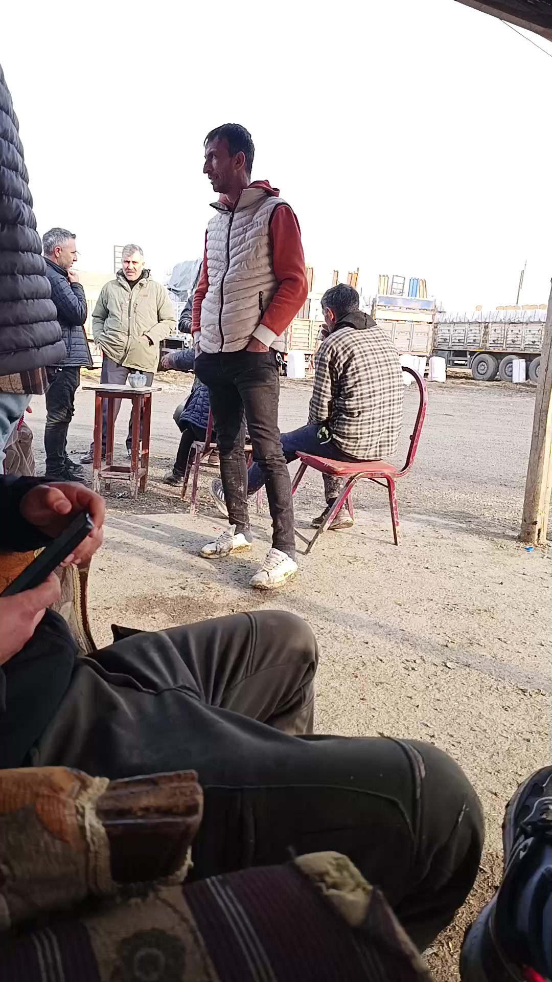 @rojatbekdili7604