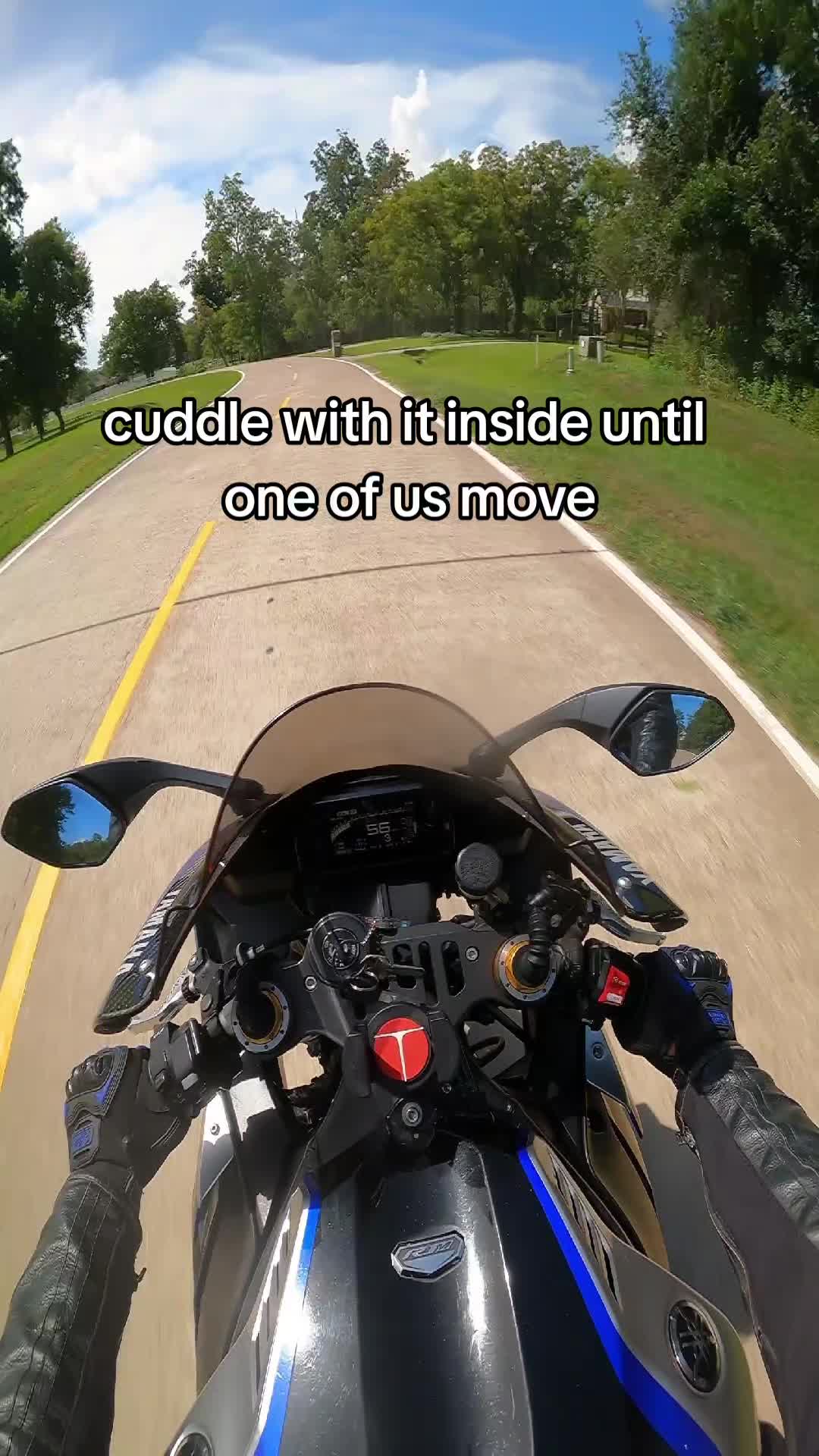 @Lakeshore Biker
