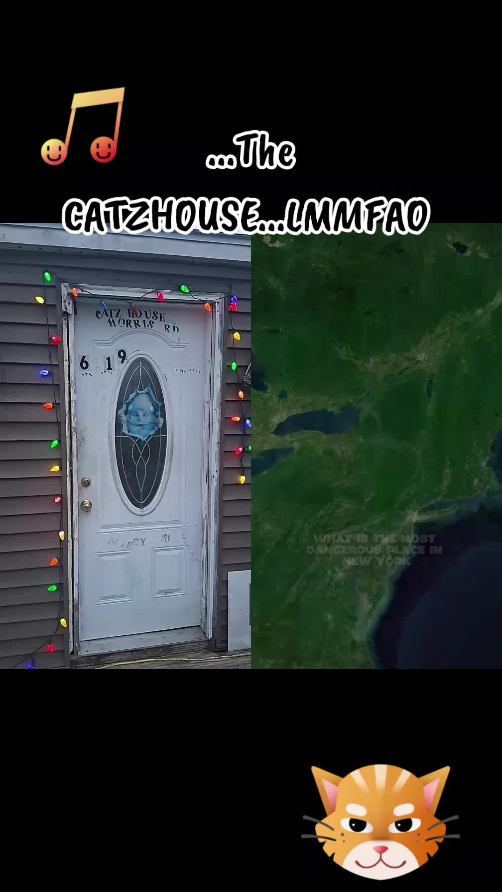 @Booh Hovey crazycatlady3