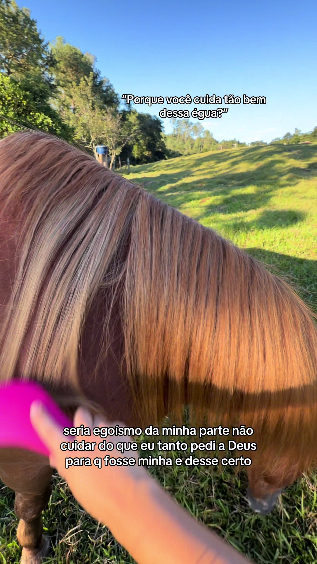@yasmim_brgs8