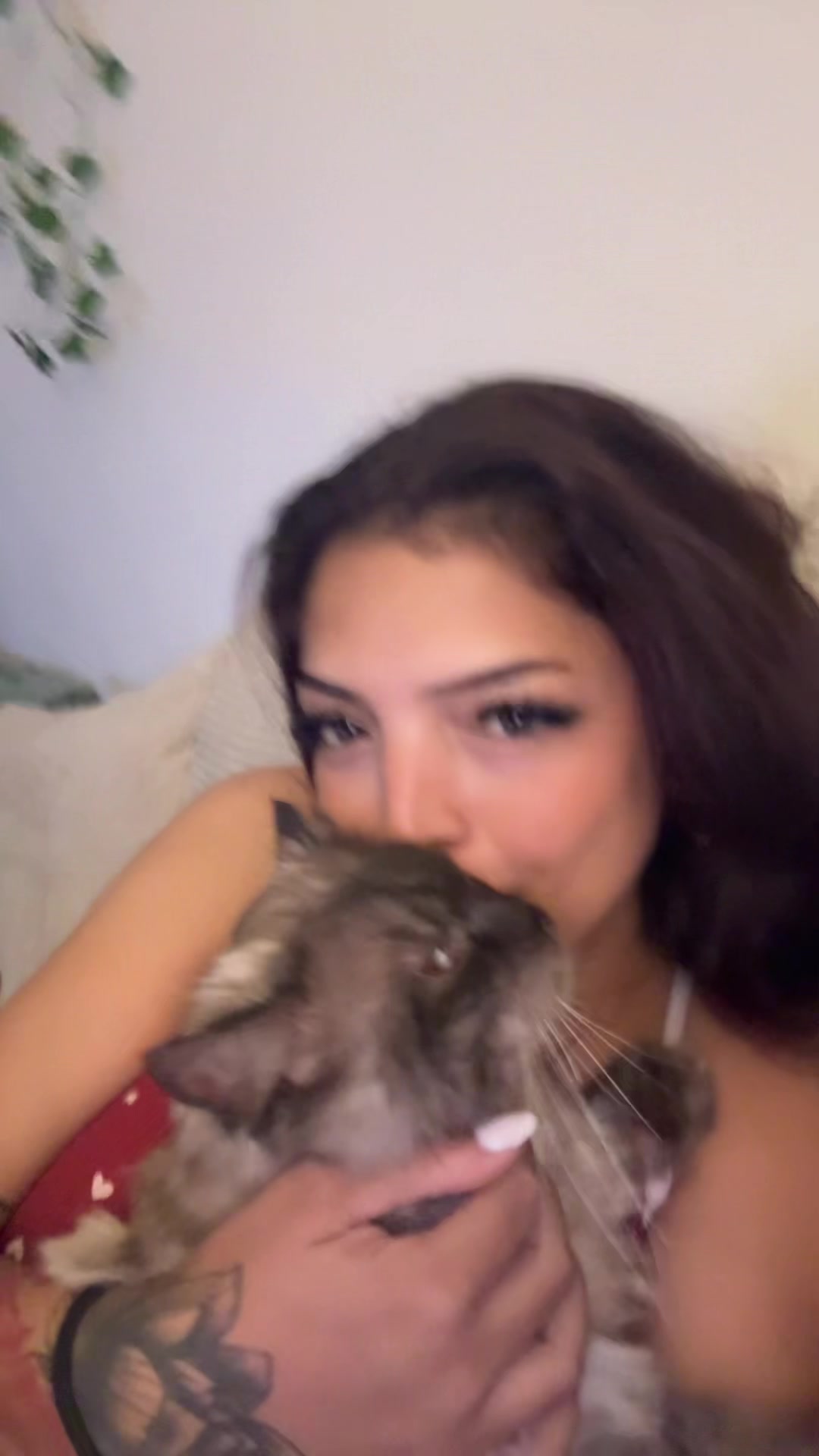 @🌹