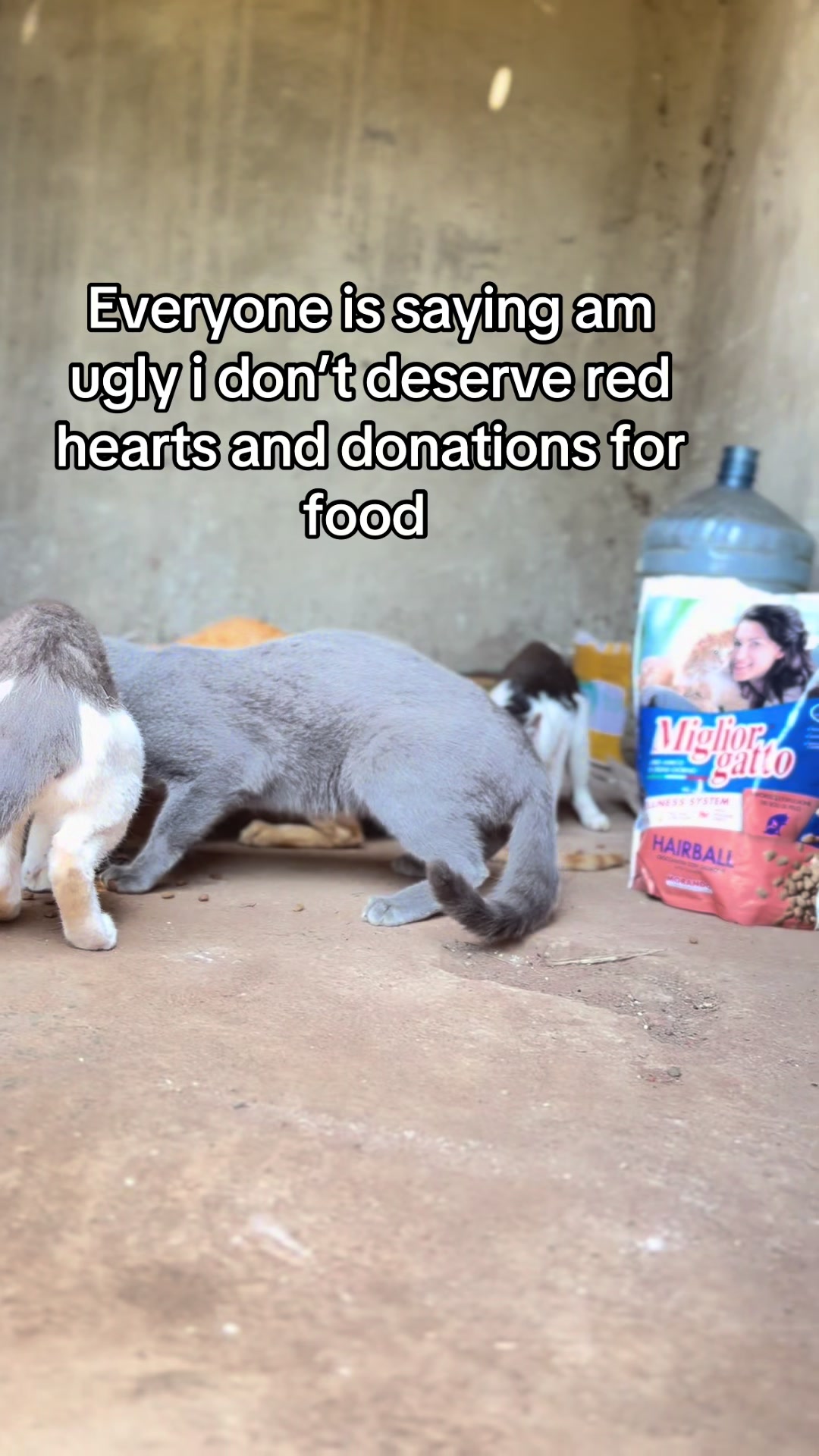 @D strays