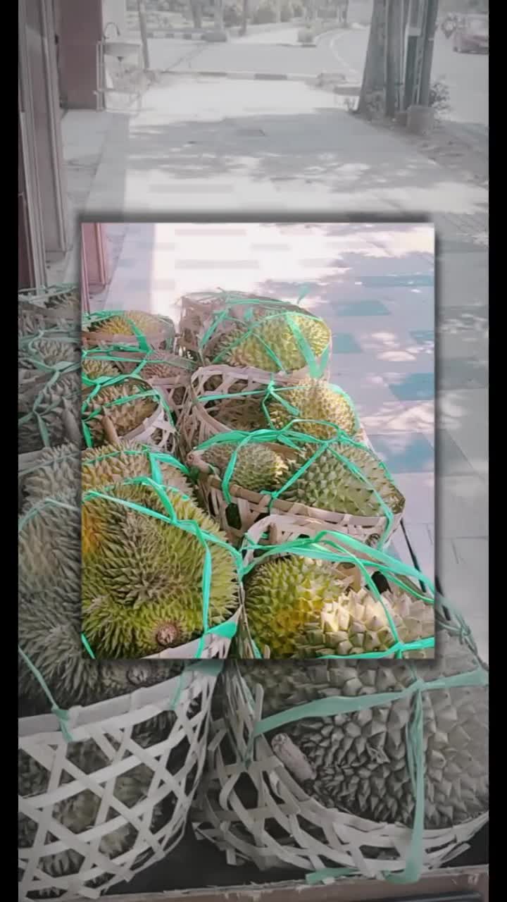 @Kenzhi Durian Tuban
