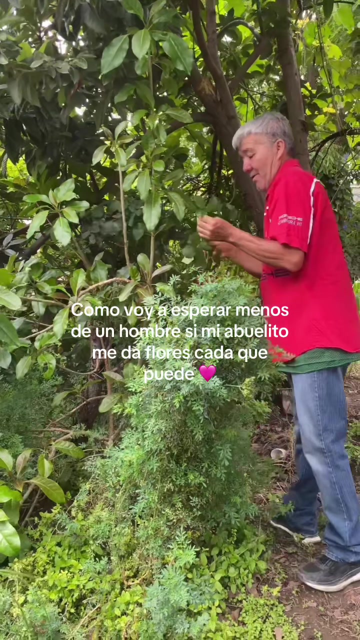 @Lupita
