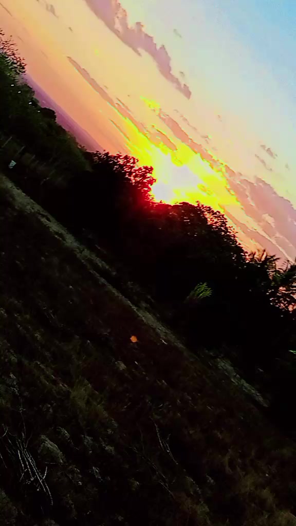 @samilesantos591