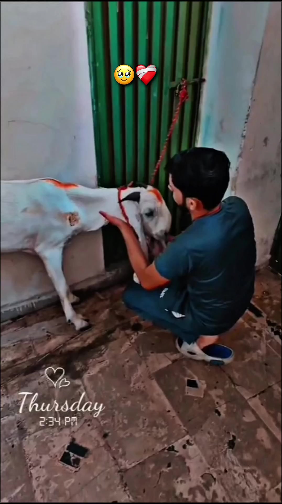@Zidirajput