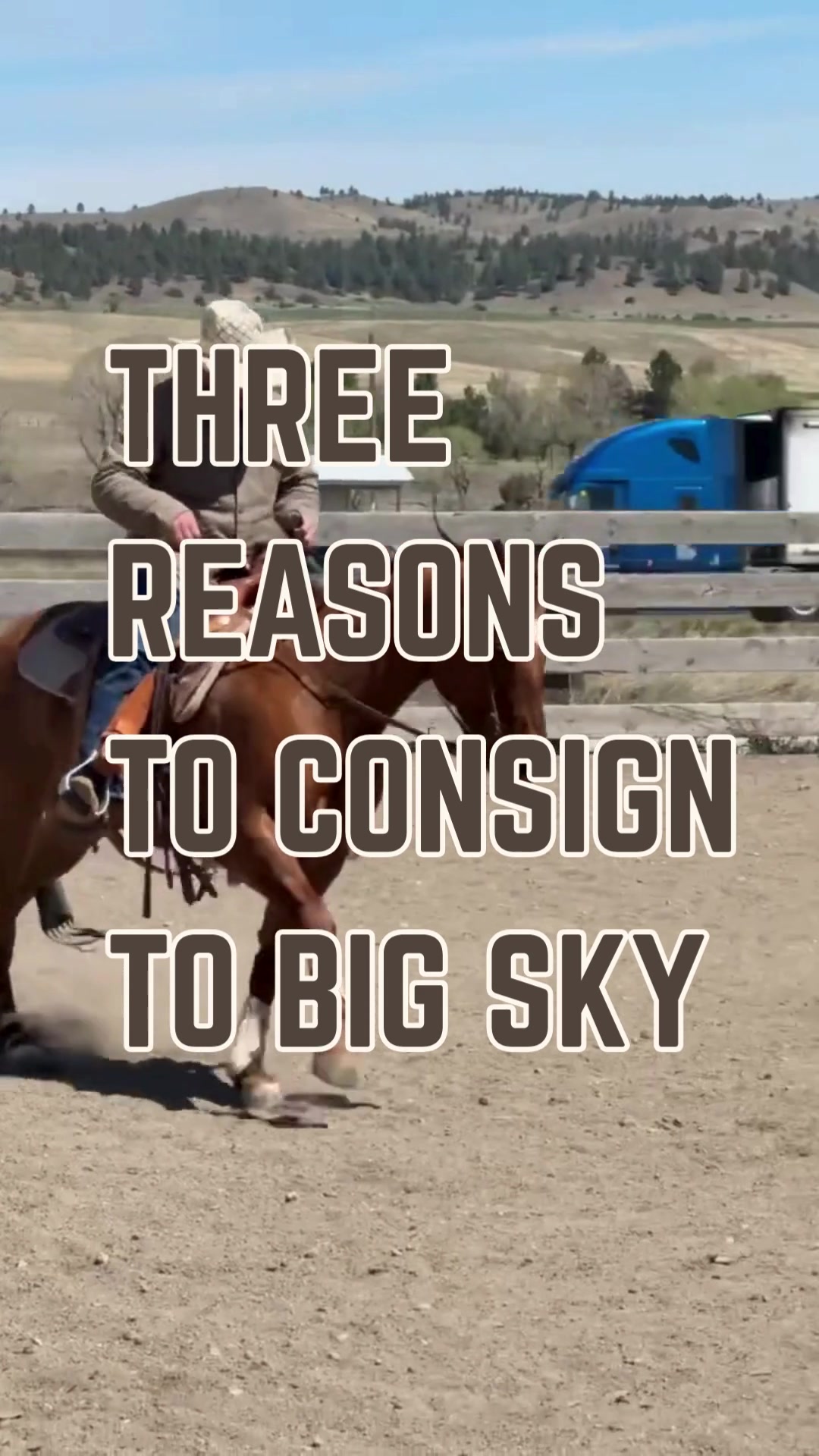 @Big Sky Horse Sales