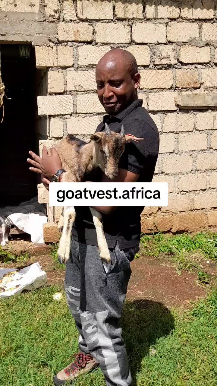 @Sam Kariuki