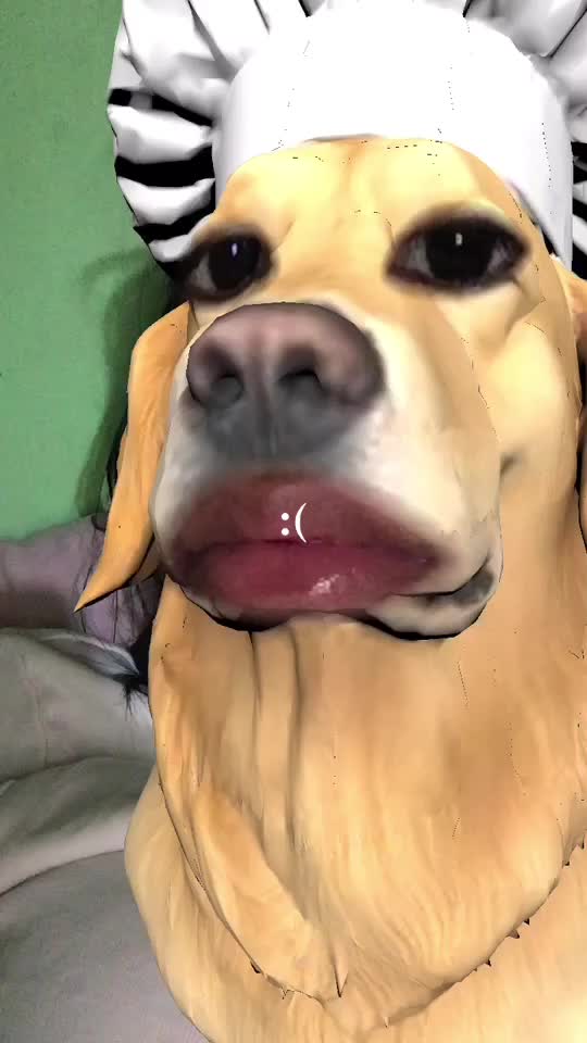 @ꕤ｡˚⋆ ❀࿐