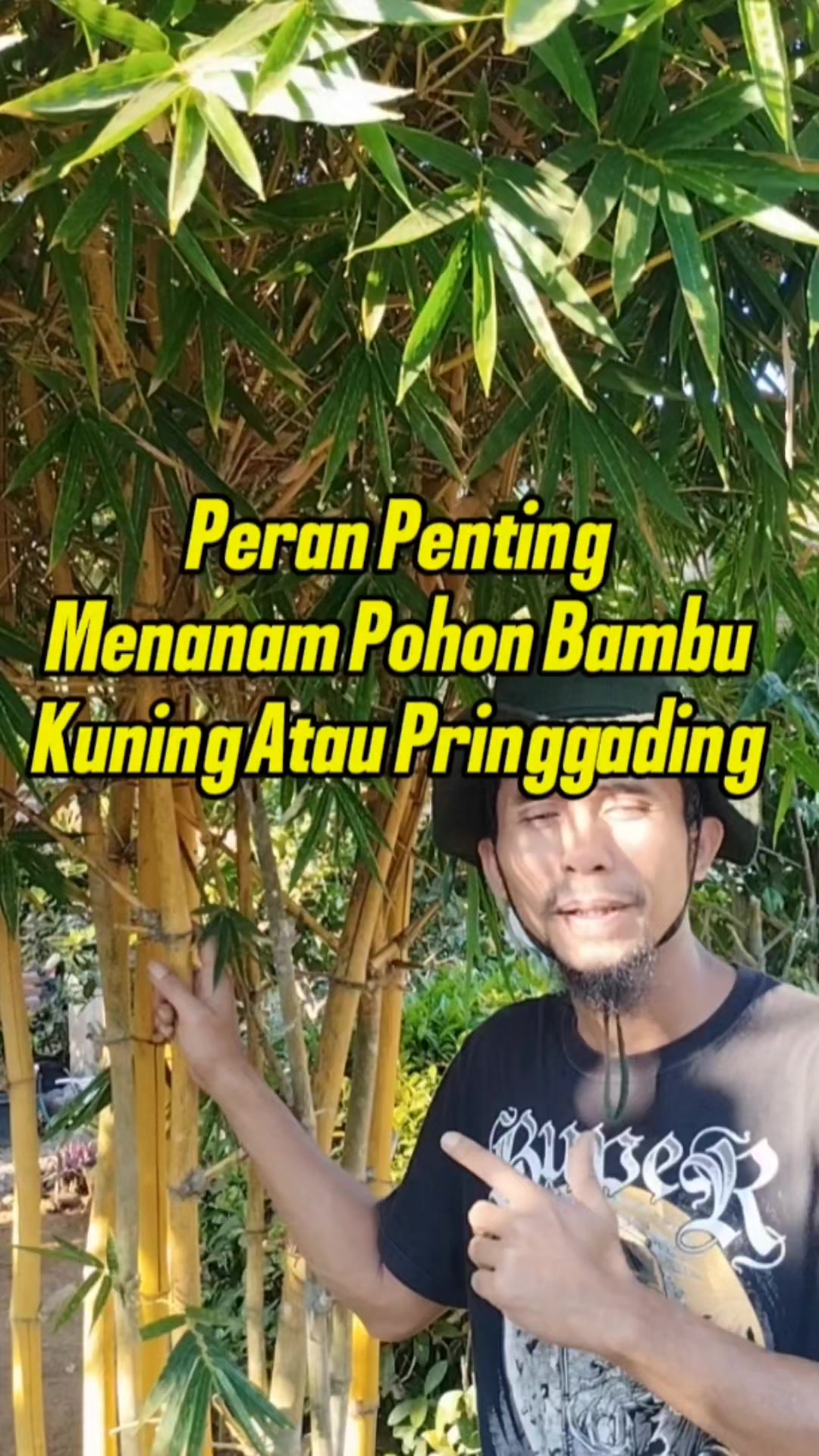 @Bukit Farming