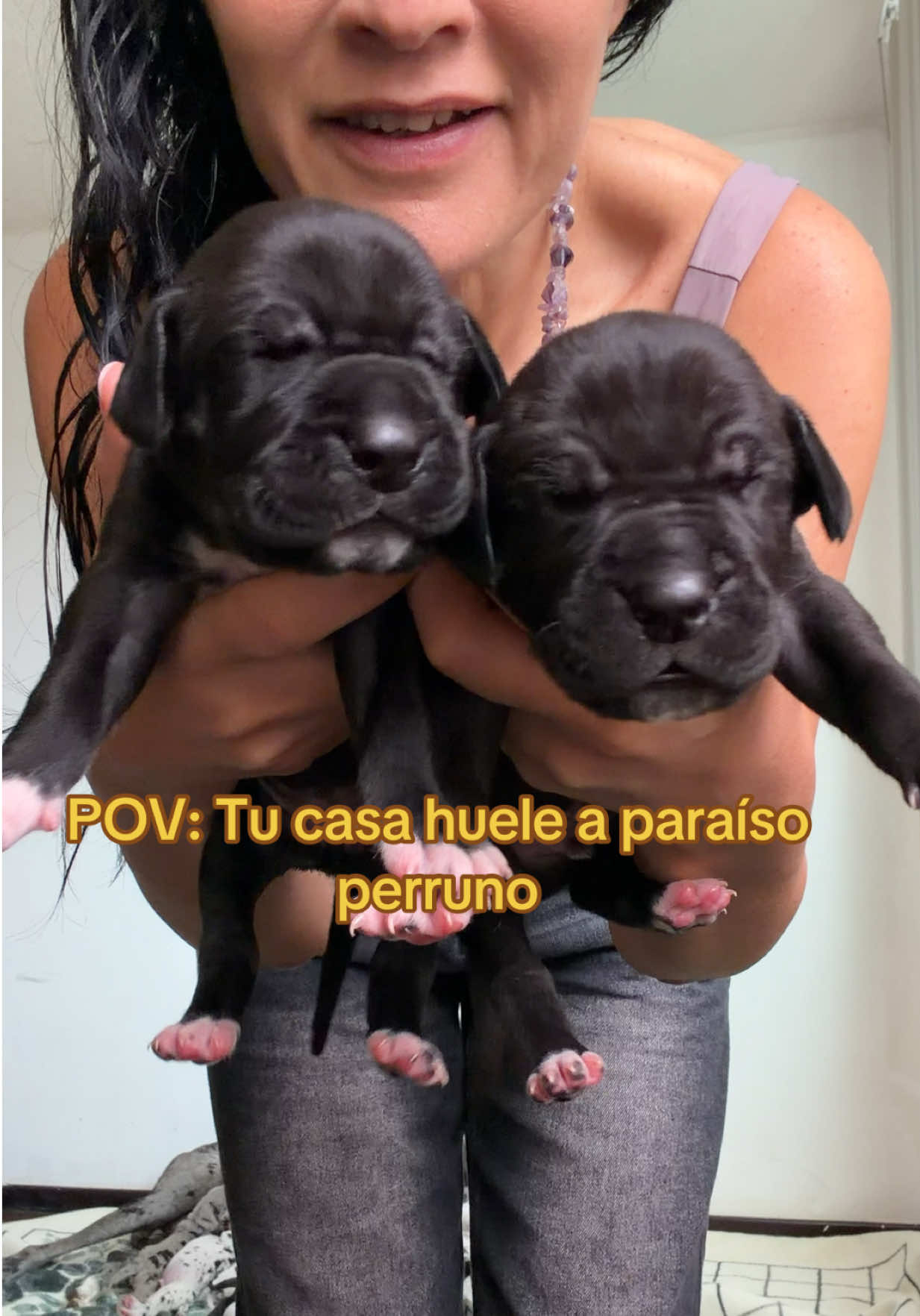 @gigante_pero_bebe