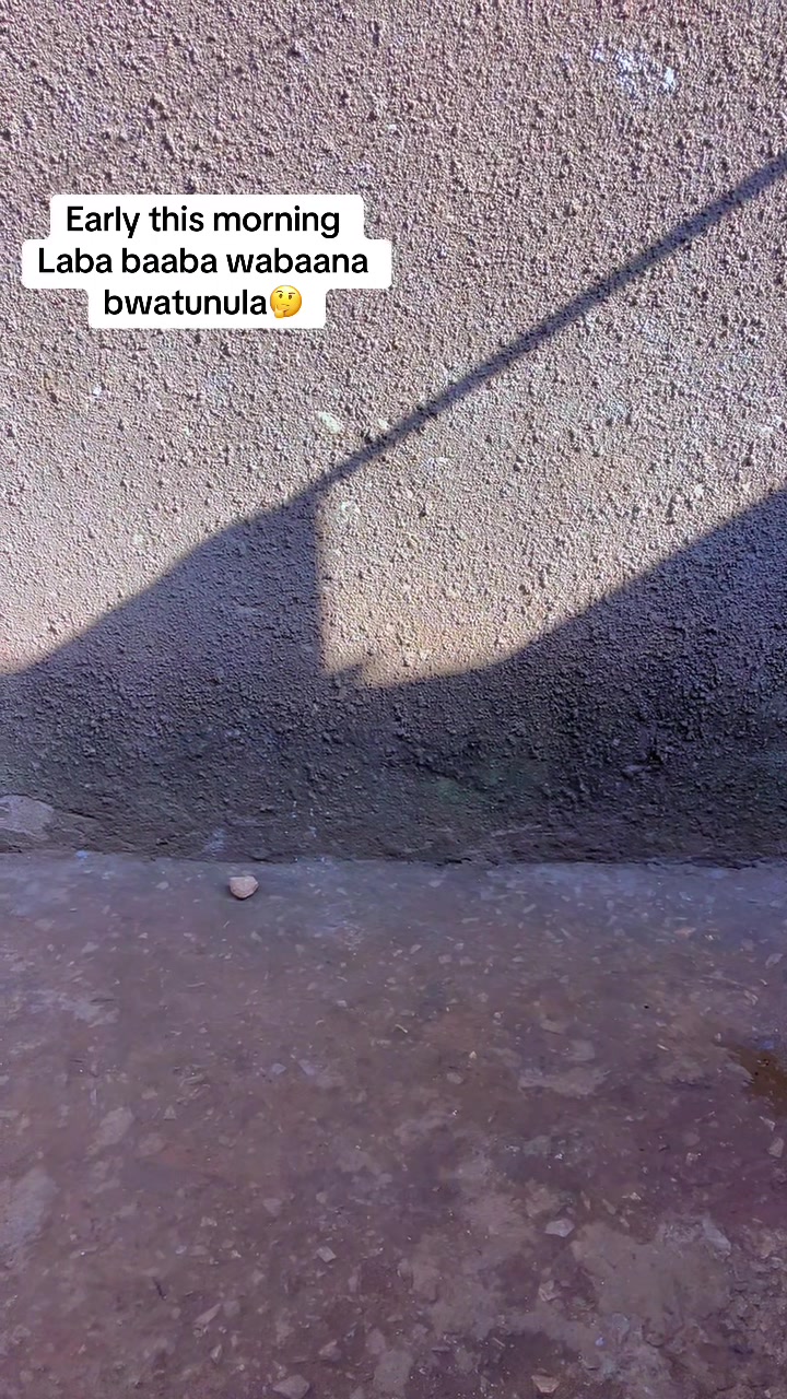 @cherry256💜
