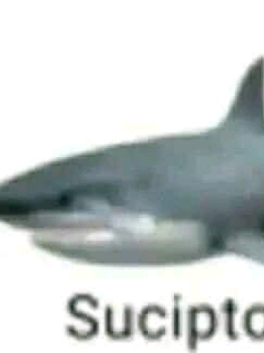 @☆ʀɪᴢᴋɪ~✠