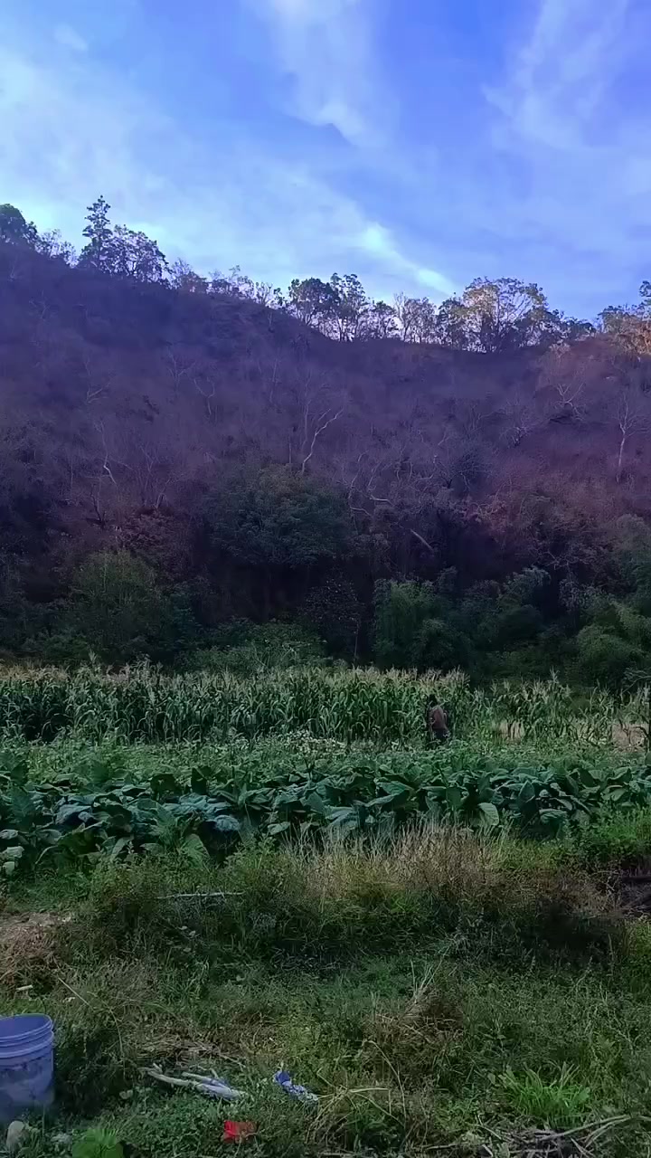 @A