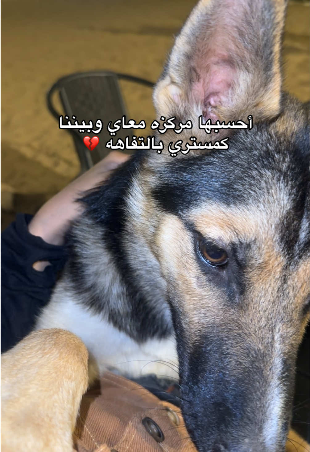 @ميكاسَا العَرب 🌟
