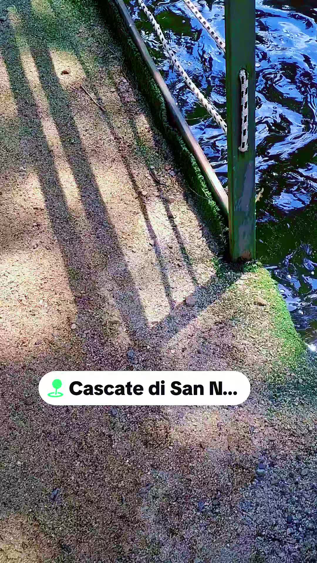 @Latella Giuseppe MPS ✔️💯