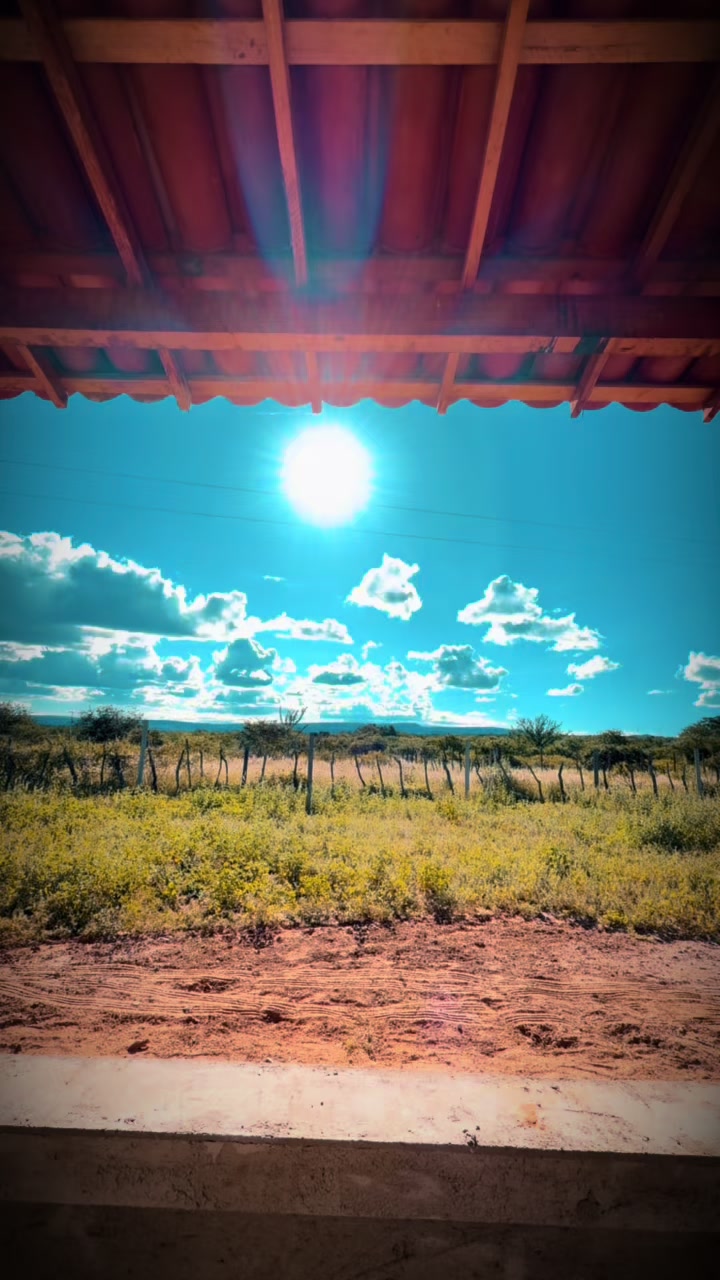 @LEOSGESSO