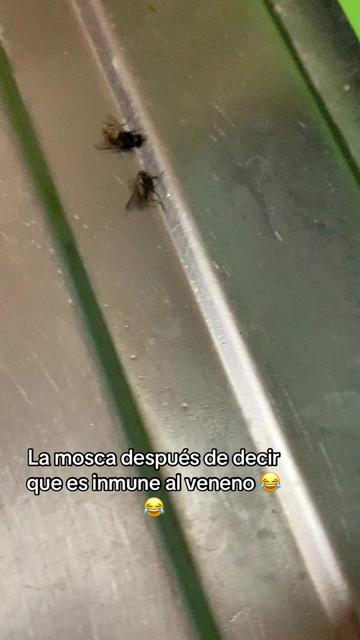 @johanamv67