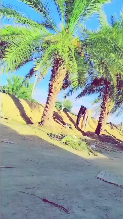 @رانا سُہیل چنڑ