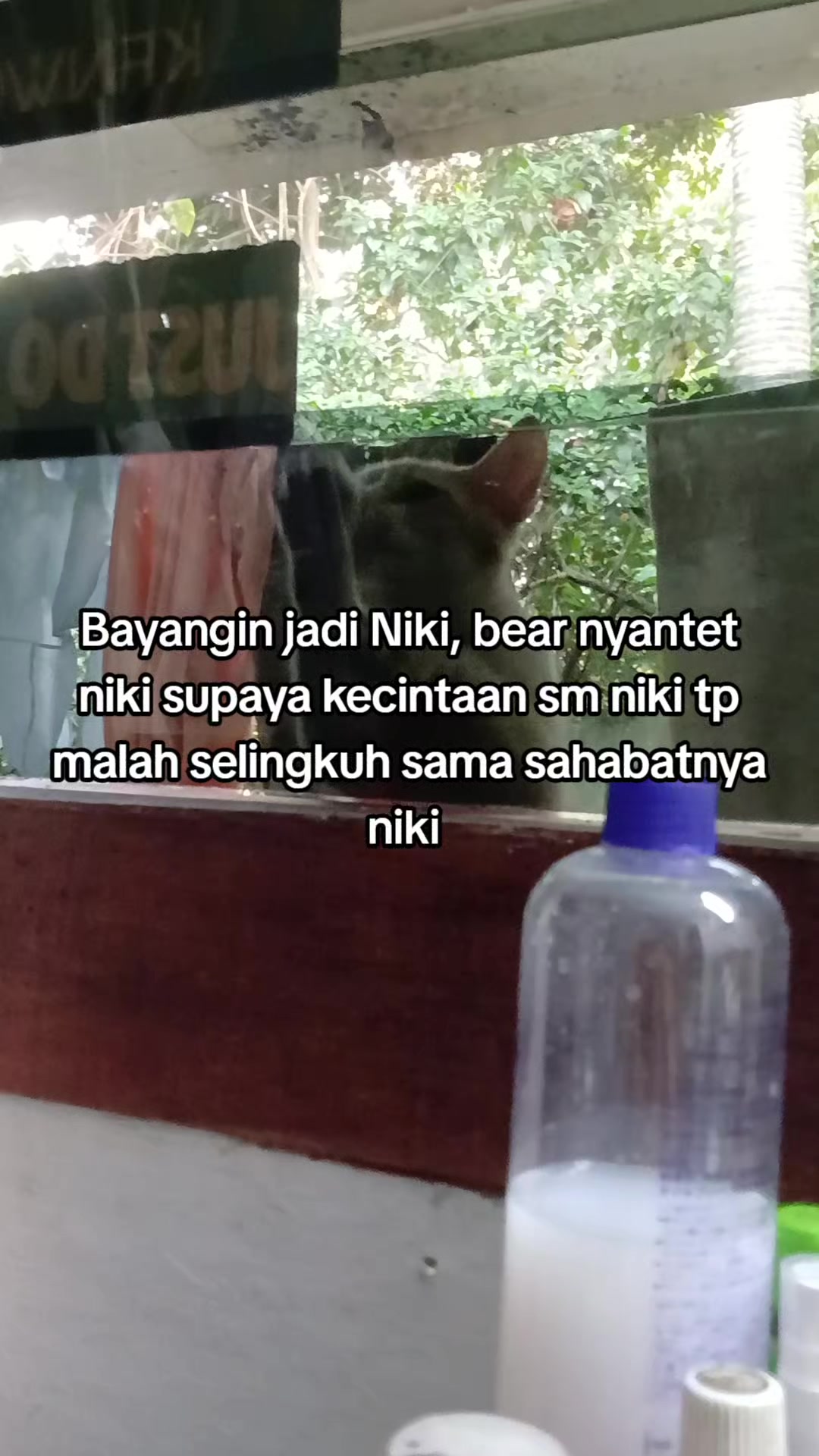 @awnyims