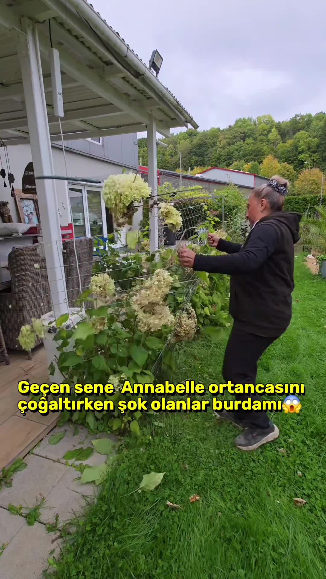 @meralworld