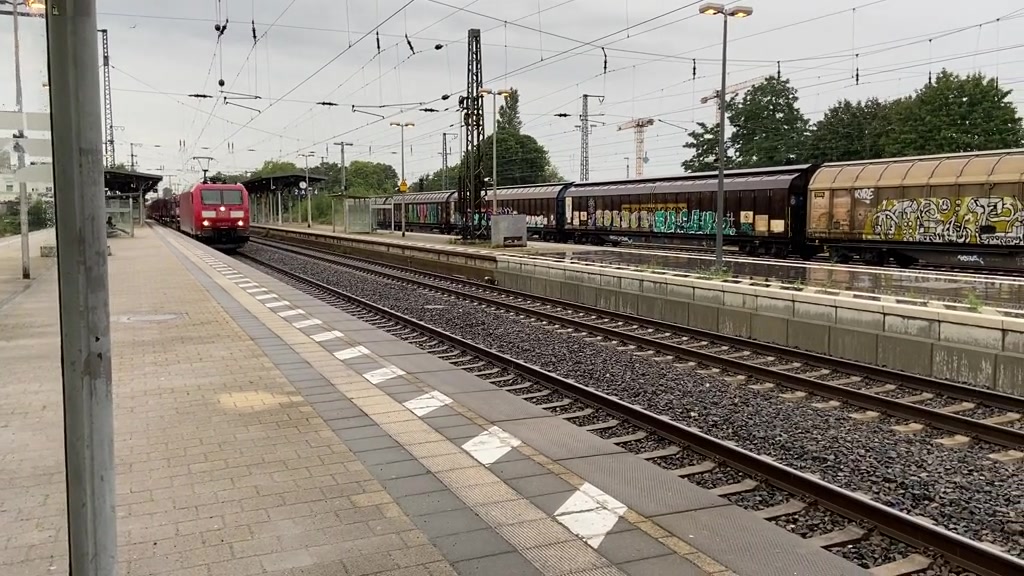 @Trainspotter_BVB🖤💛