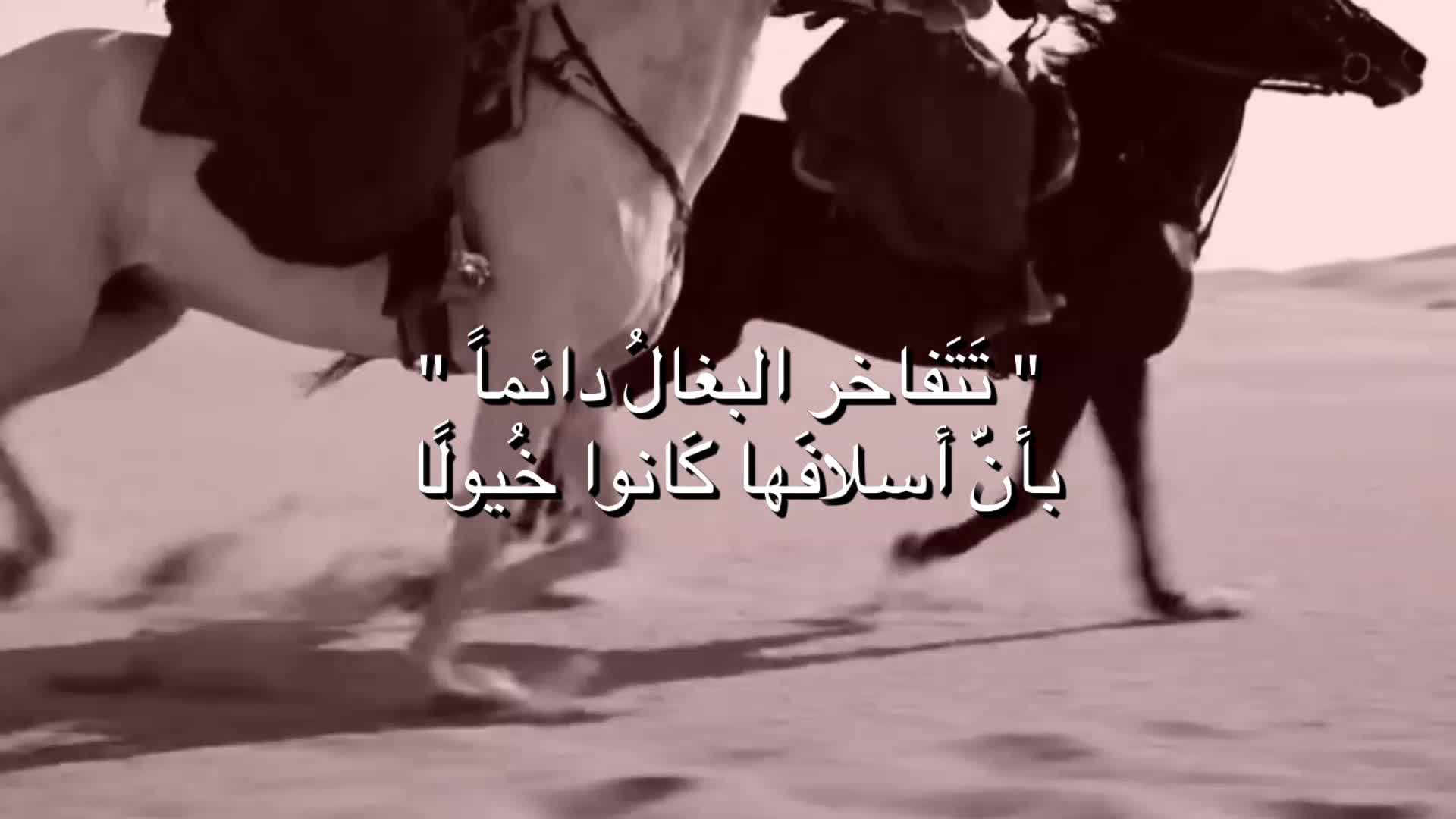 @عـبّـود🗽