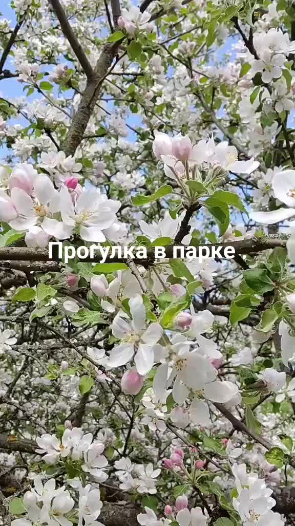 @Anastasia Zanoza_7_7_2