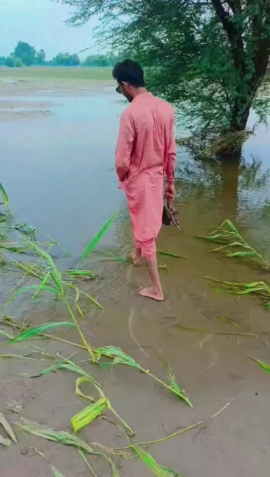 @M imtiazulhassan
