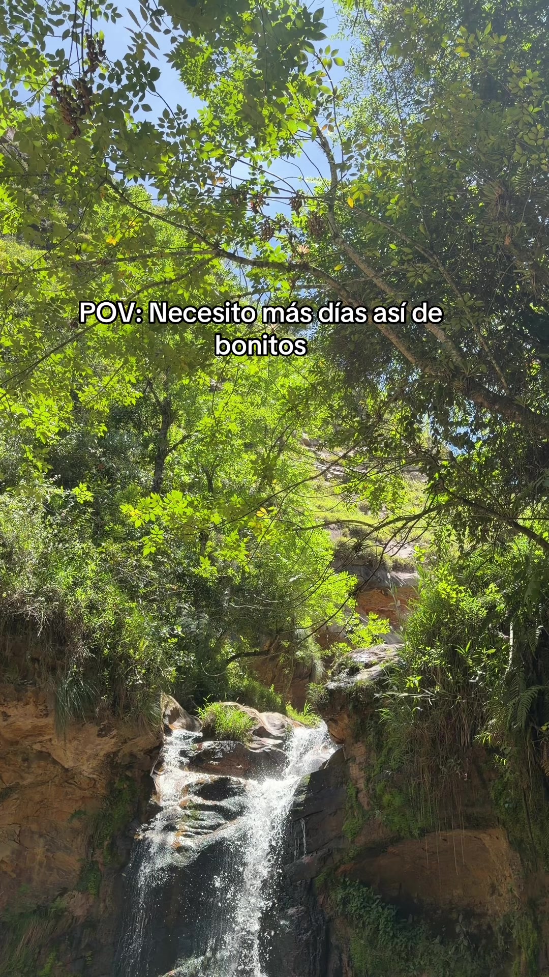 @Dra Mar&iacute;a Fonseca