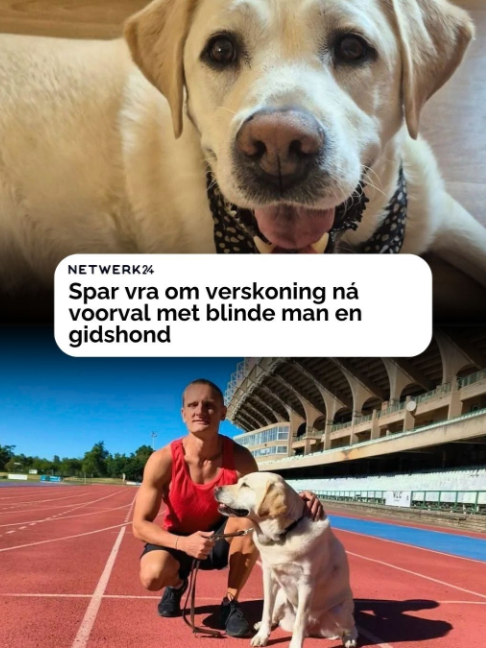 @Netwerk24