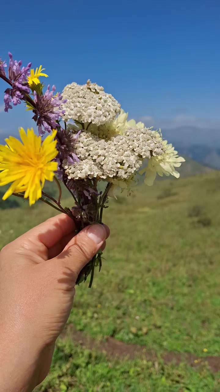 @olannanolmazdan