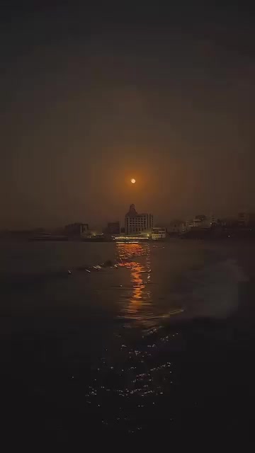 @༺ يــحــيــى ༻