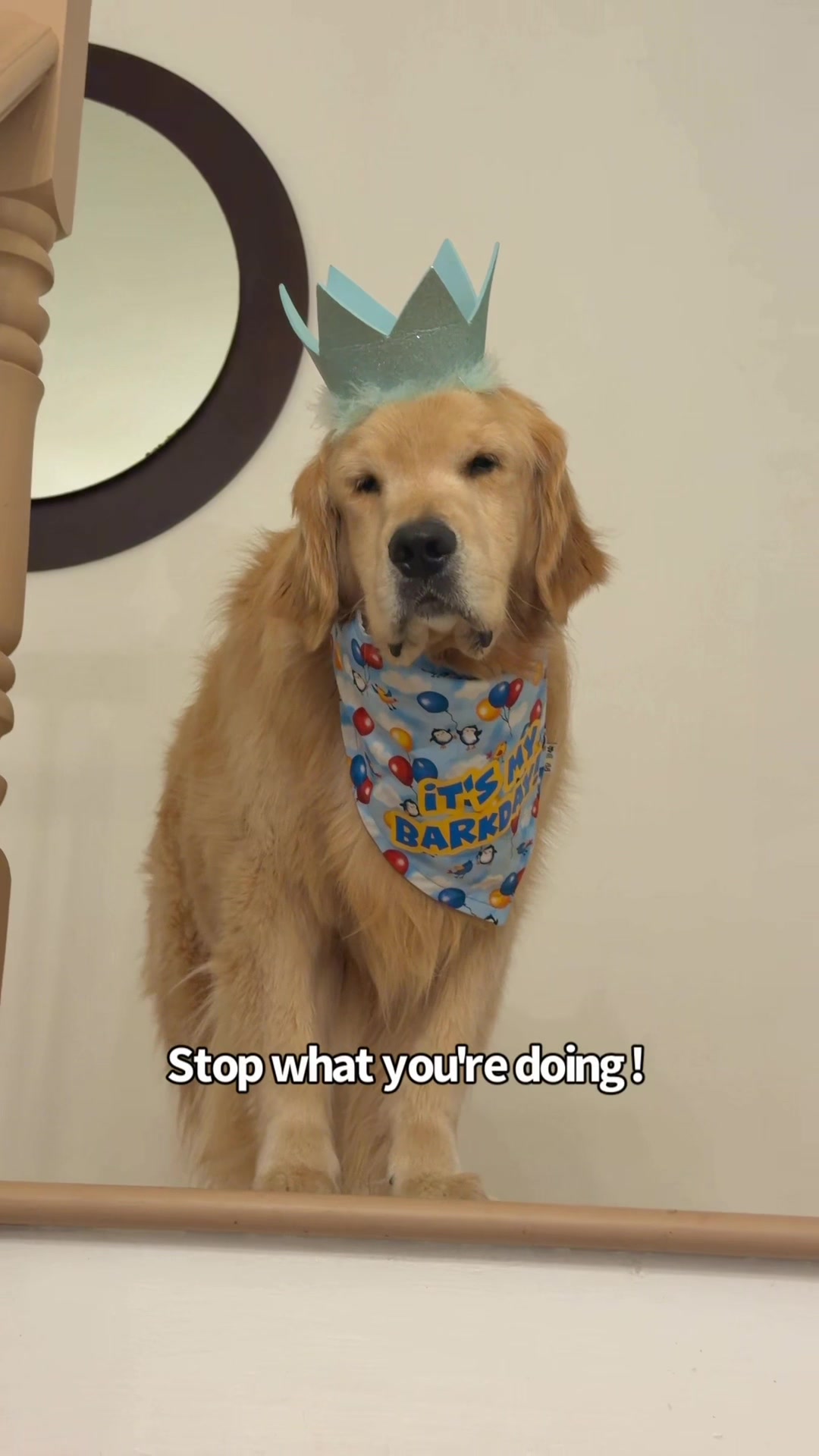 @Sterling and Colin
