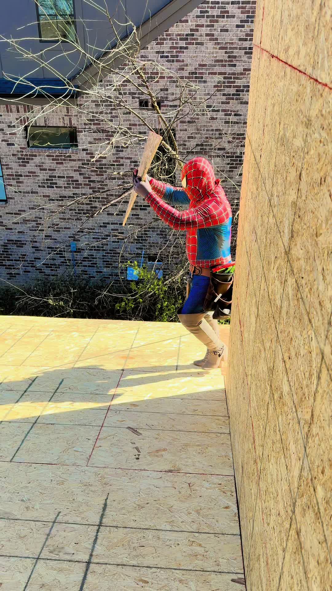@spider503r