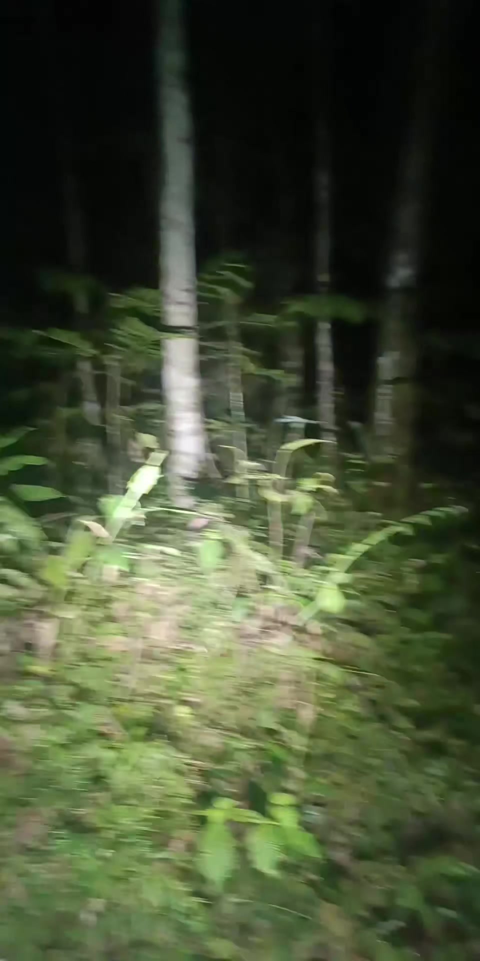 @๐๐๐ง๐๐ซ๐ ๐๐ข๐ฃ๐๐ฒ๐