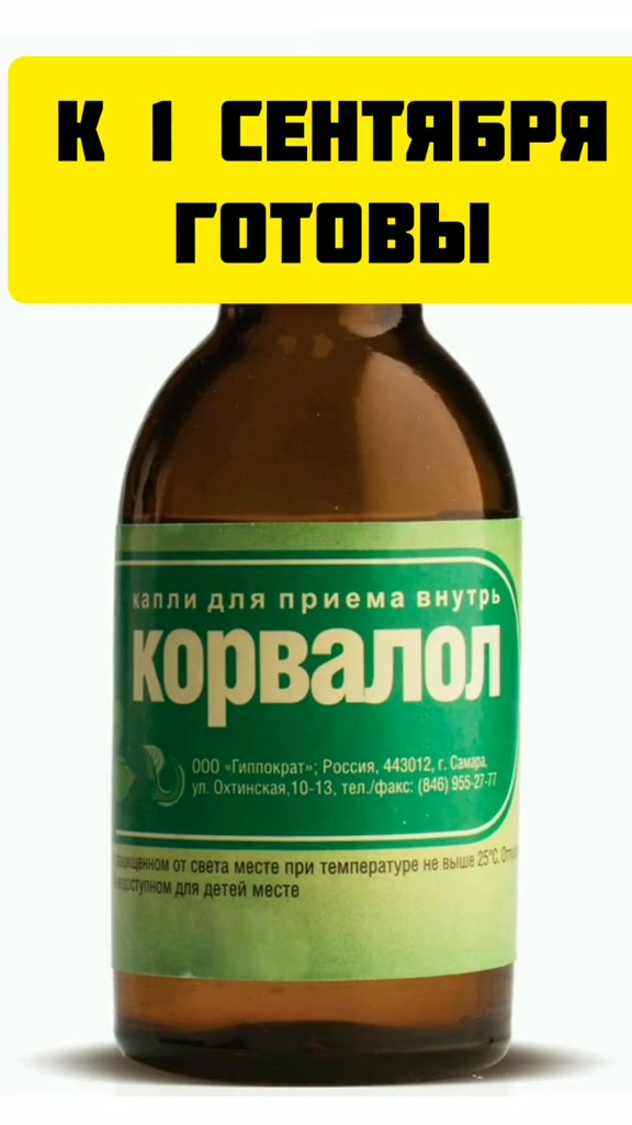 @Жужа и ее друзья