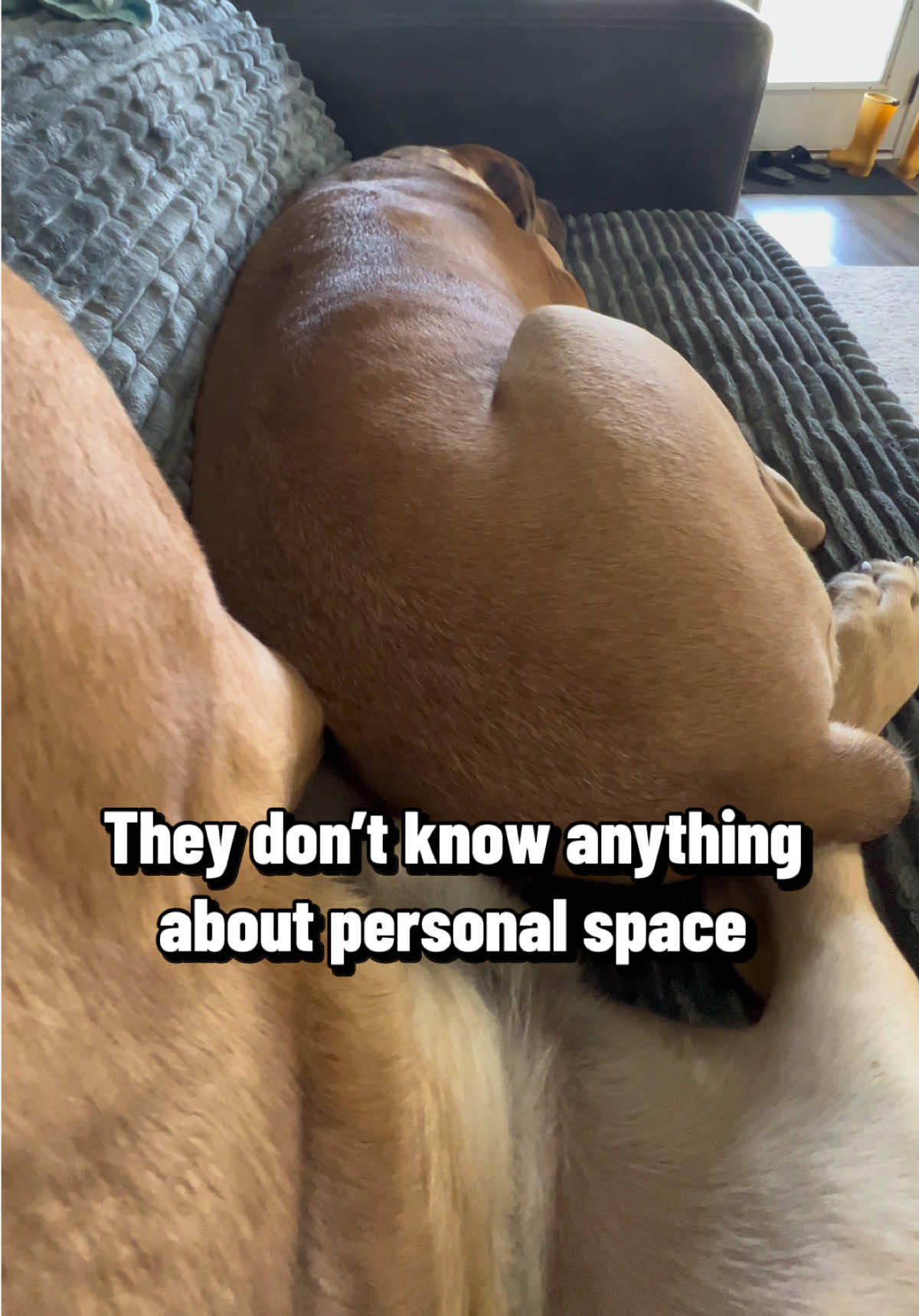 @Nala & Hurley