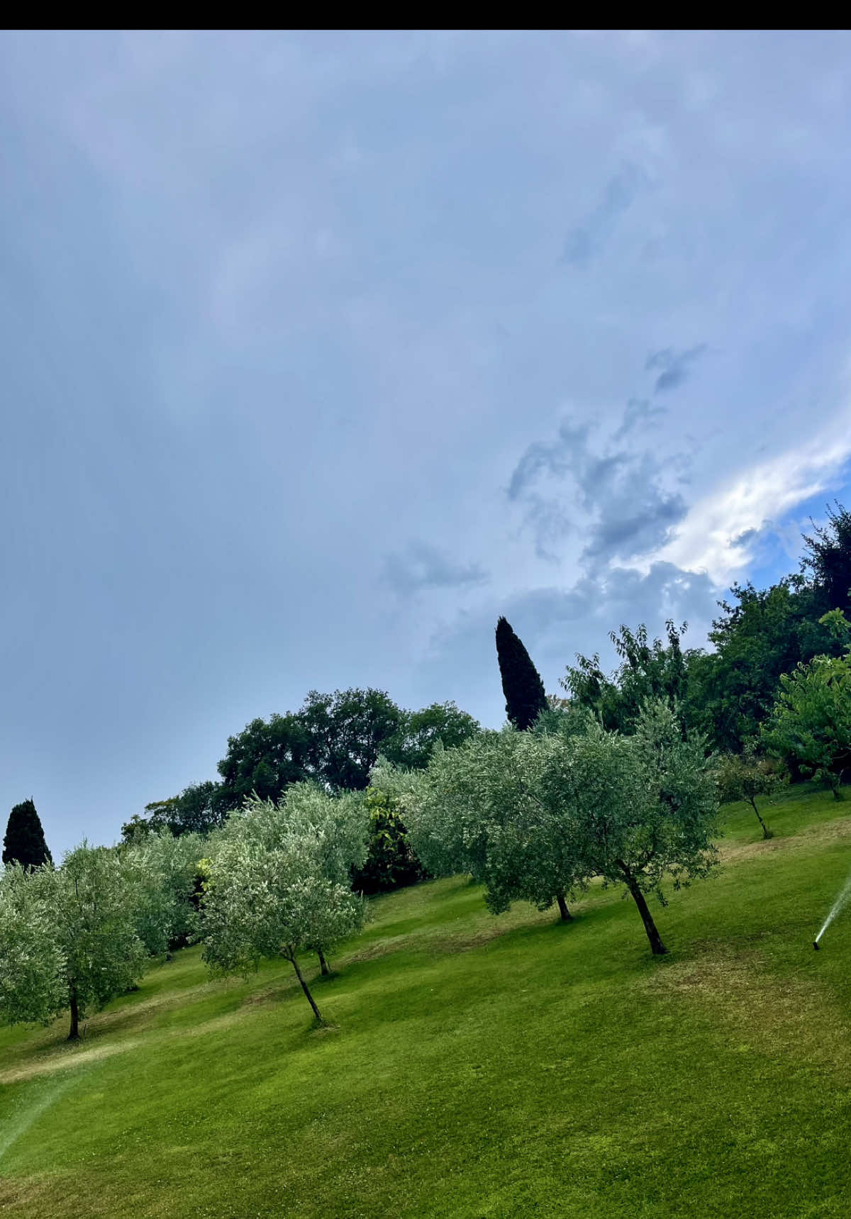 @fabio formigli