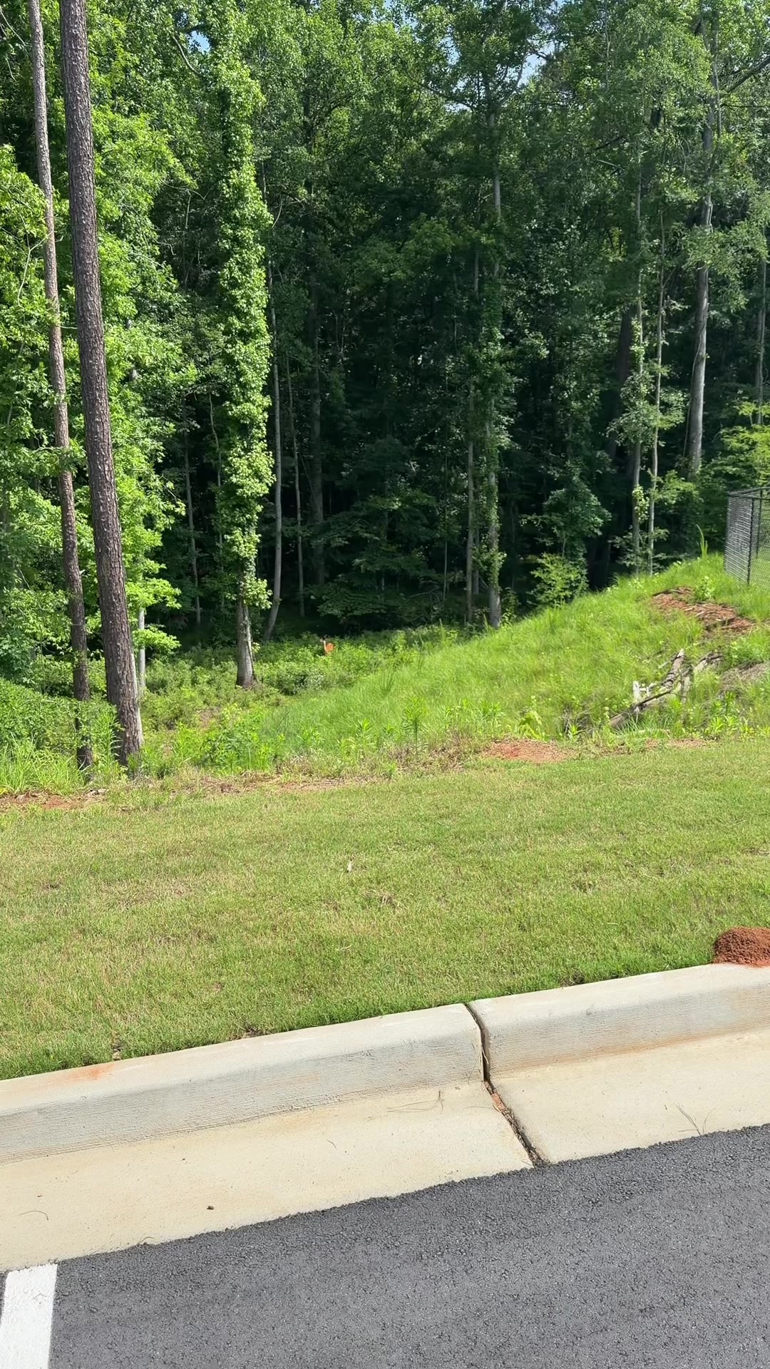 @𝘼𝙡𝙚𝙭